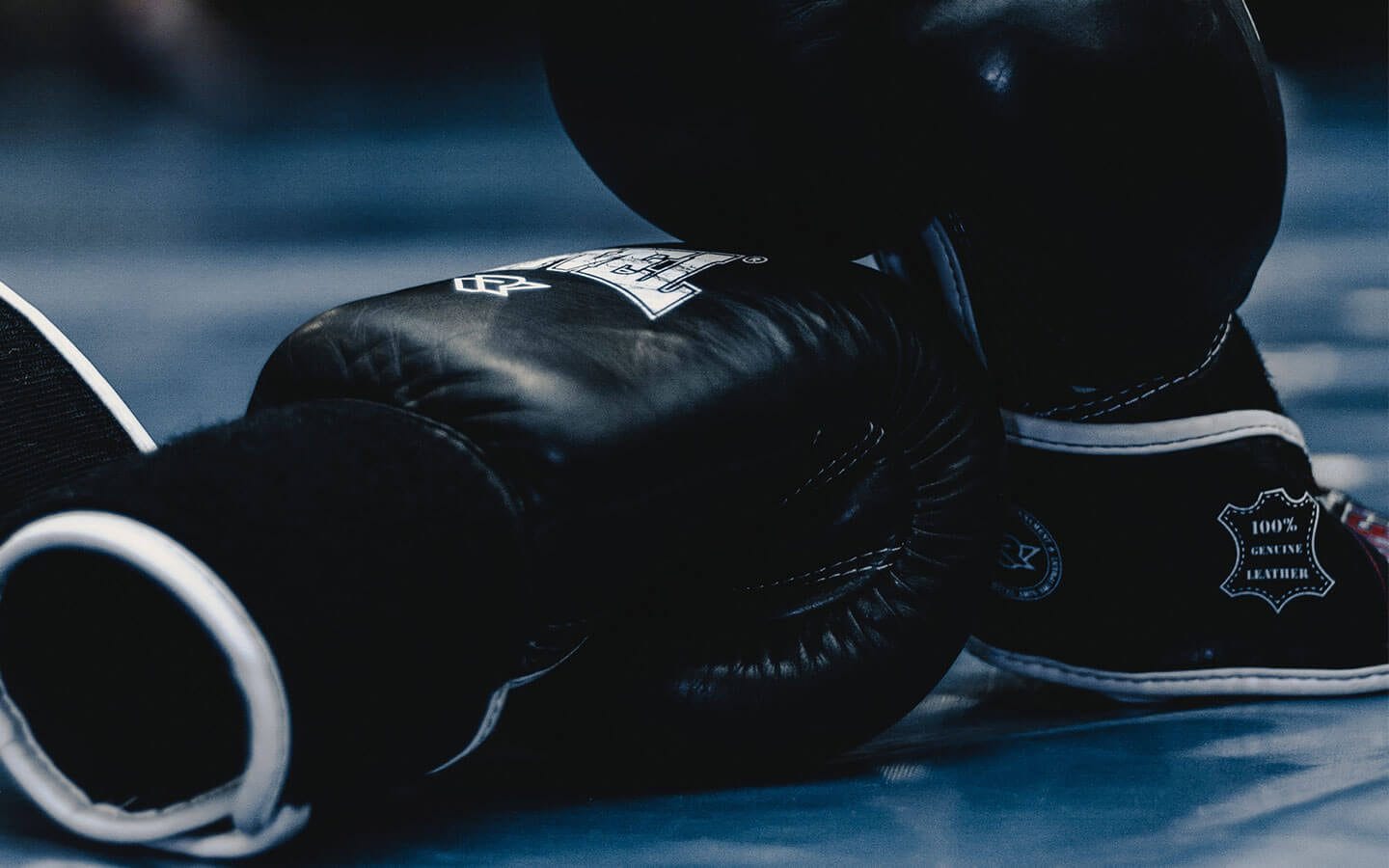 Blue Gym Clases Colectivas Artes Marciales.