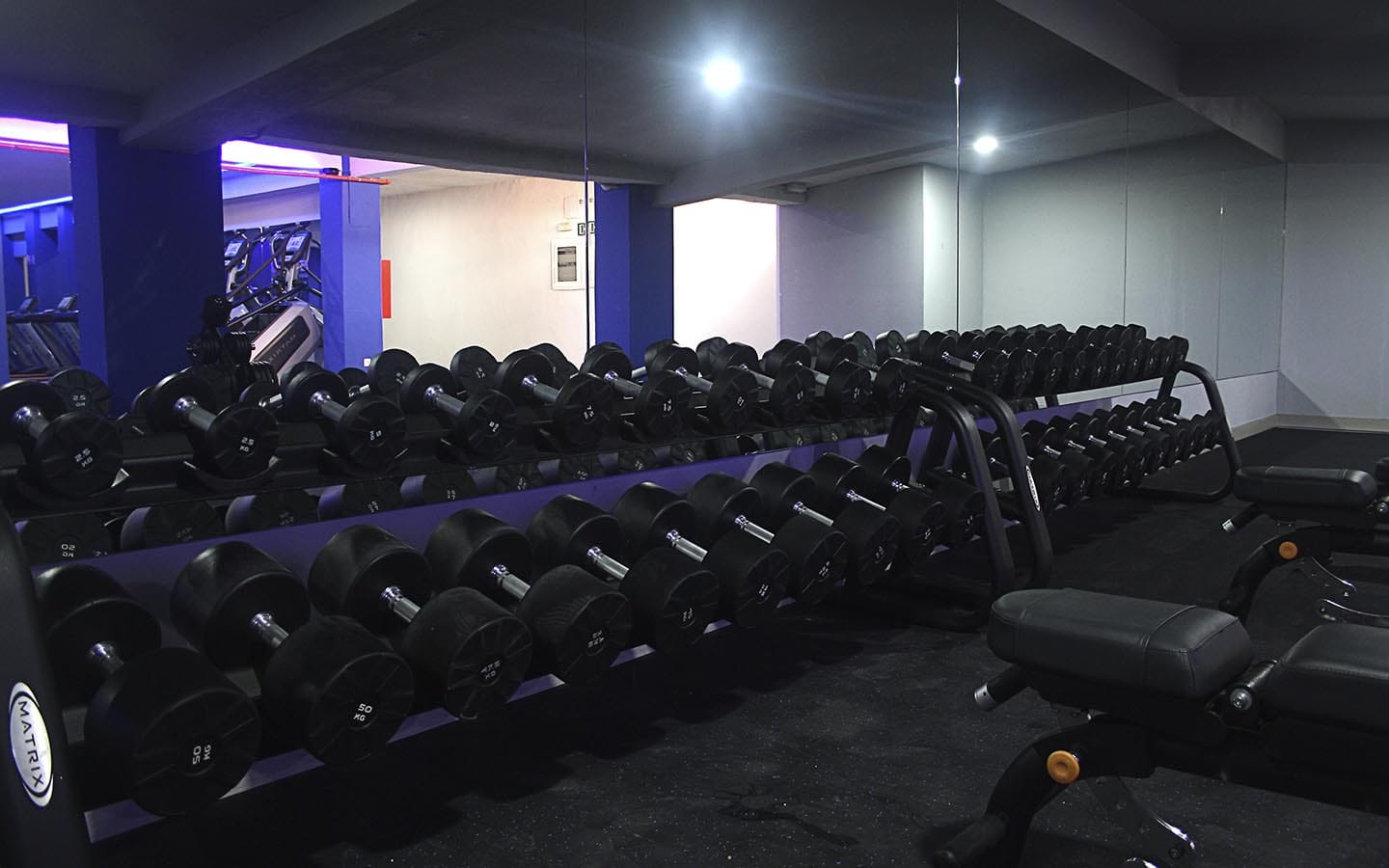 Blue Gym instalaciones Zona Fuerza Gimnasio de Alcalá de Henares.
